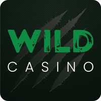 Wild casino